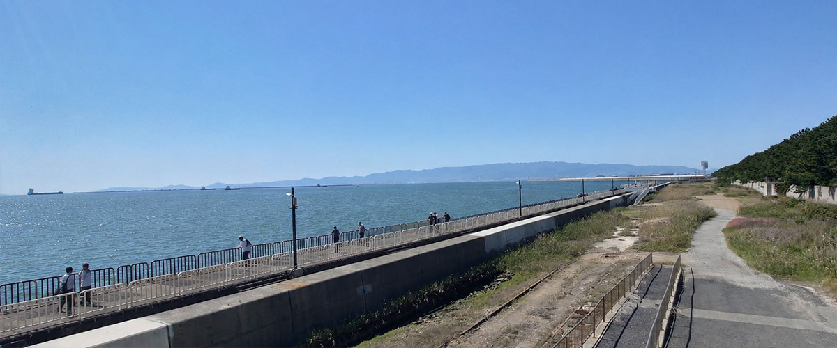 南港・海沿いの風景（イメージ）